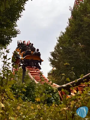 Foto aus Plopsaland Deutschland von Chris672