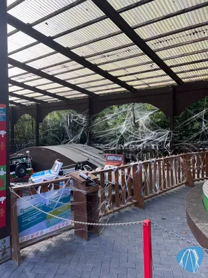 Foto aus Eifelpark von Marco