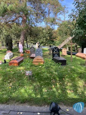 Foto aus Eifelpark von Marco