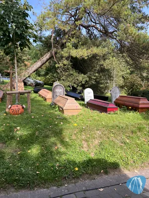 Foto aus Eifelpark von Marco