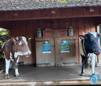 Foto aus Eifelpark von Marco