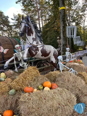 Foto aus Eifelpark von Marco