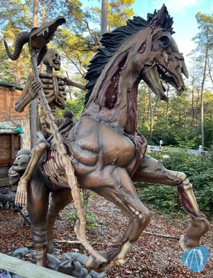 Foto aus Eifelpark von Marco