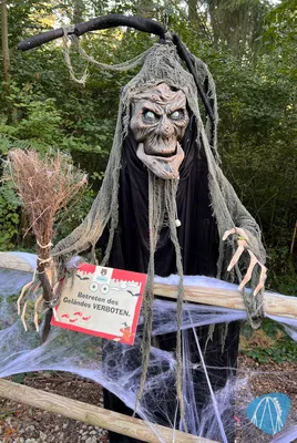Foto aus Eifelpark von Marco