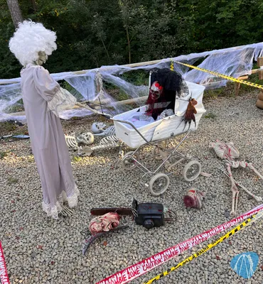 Foto aus Eifelpark von Marco