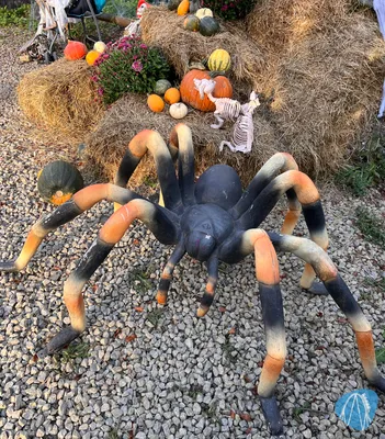 Foto aus Eifelpark von Marco