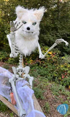Foto aus Eifelpark von Marco