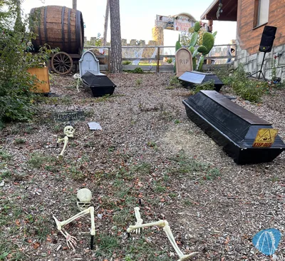 Foto aus Eifelpark von Marco