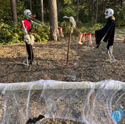 Foto aus Eifelpark von Marco