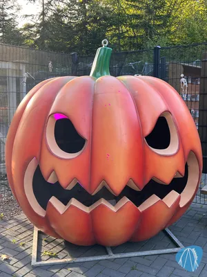 Foto aus Eifelpark von Marco