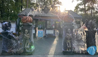 Foto aus Eifelpark von Marco