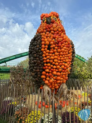 Foto aus Toverland von Sabi