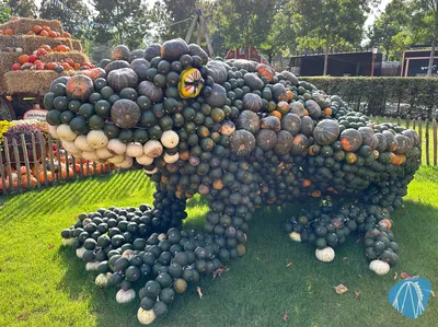 Foto aus Toverland von Sabi