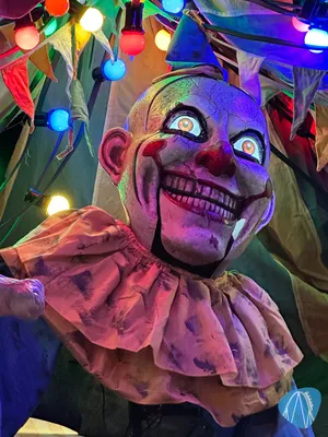 Foto aus Toverland von Sabi