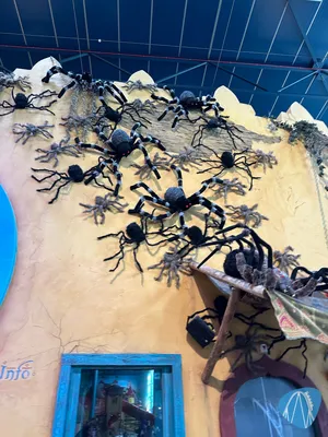 Foto aus Toverland von Sabi