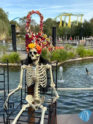 Foto aus Toverland von Sabi