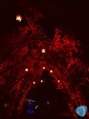 Foto aus Walibi Holland von Breakbeatfreak