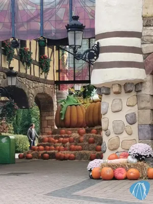Foto aus Plopsaland Deutschland von Soeren92