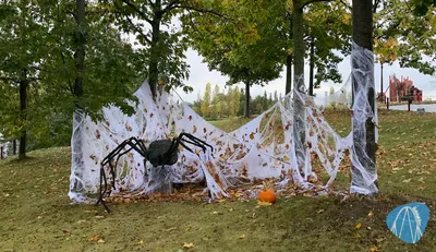 Foto aus Belantis von Rabauke