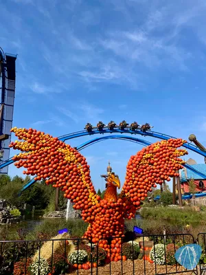 Foto aus Toverland von RollerCoasterBuhmaus