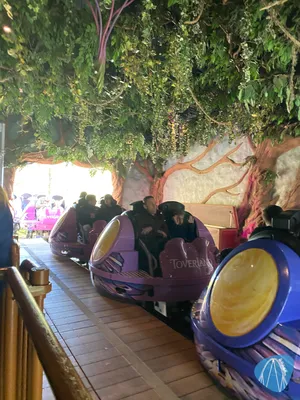 Foto aus Toverland von sophiestreeder
