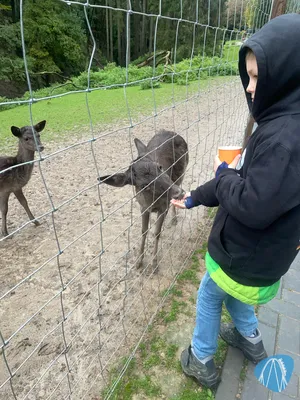 Foto aus Eifelpark von MaKaBa