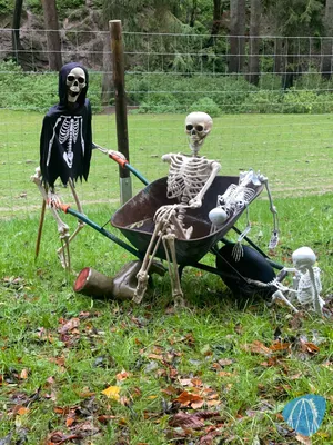 Foto aus Eifelpark von MaKaBa