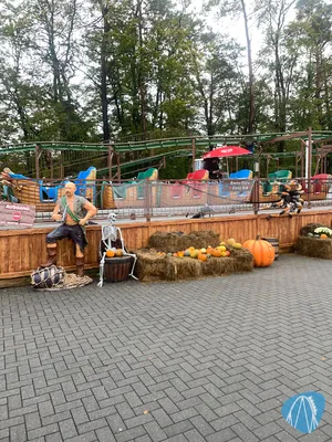 Foto aus Eifelpark von MaKaBa
