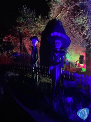 Foto aus Eifelpark von MaKaBa