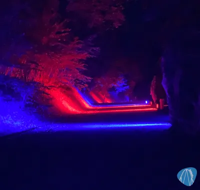 Foto aus Eifelpark von LaLaFun
