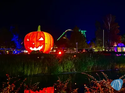 Foto aus Heide Park von Babyboomer