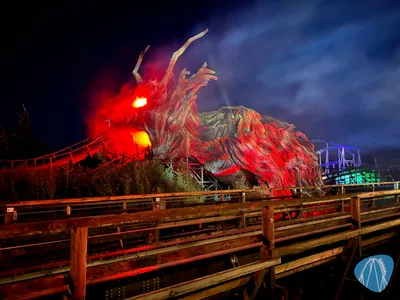 Foto aus Heide Park von Babyboomer