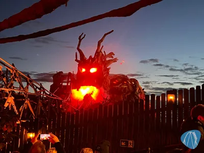 Foto aus Heide Park von Babyboomer