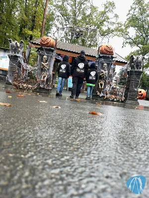 Foto aus Eifelpark von stoppel