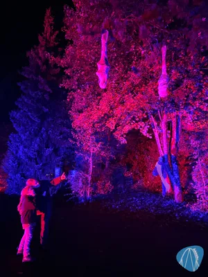 Foto aus Eifelpark von stoppel