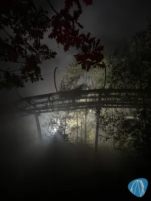 Foto aus Eifelpark von stoppel