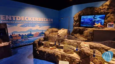 Foto aus SEA LIFE Konstanz von coaster_Markus