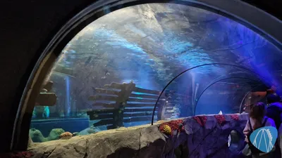 Foto aus SEA LIFE Konstanz von coaster_Markus