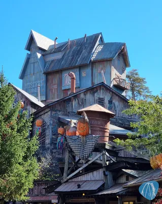 Foto aus Dollywood von Poseidonsurfer