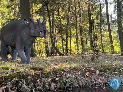 Foto aus Erse Park von Babyboomer