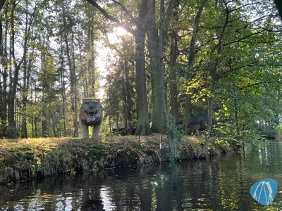Foto aus Erse Park von Babyboomer