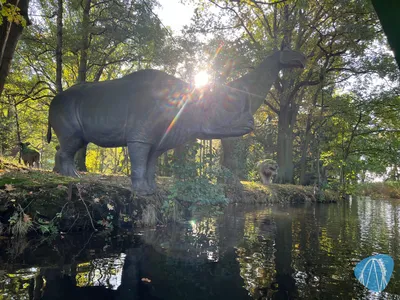 Foto aus Erse Park von Babyboomer