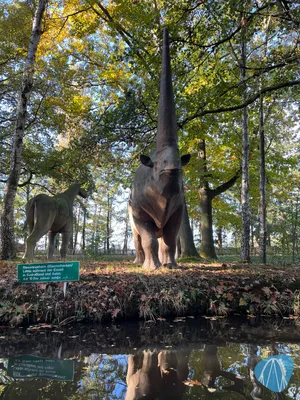 Foto aus Erse Park von Babyboomer