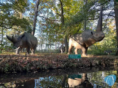 Foto aus Erse Park von Babyboomer