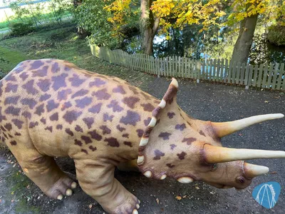 Foto aus Erse Park von Babyboomer