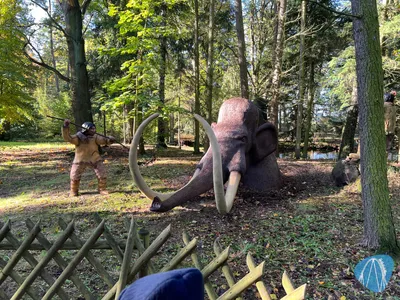 Foto aus Erse Park von Babyboomer