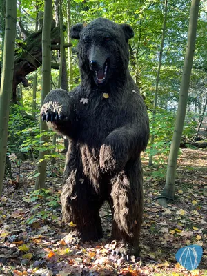 Foto aus Erse Park von Babyboomer