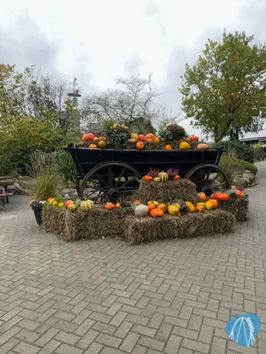 Foto aus Jaderpark von MaKaBa