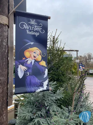 Foto aus Toverland von RollerCoasterBuhmaus