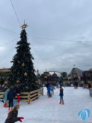 Foto aus Toverland von RollerCoasterBuhmaus